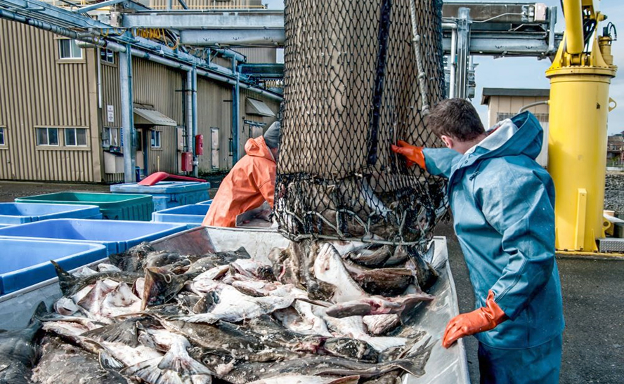Anh - Pháp ''giảm nhiệt'' tranh chấp quyền đánh bắt cá