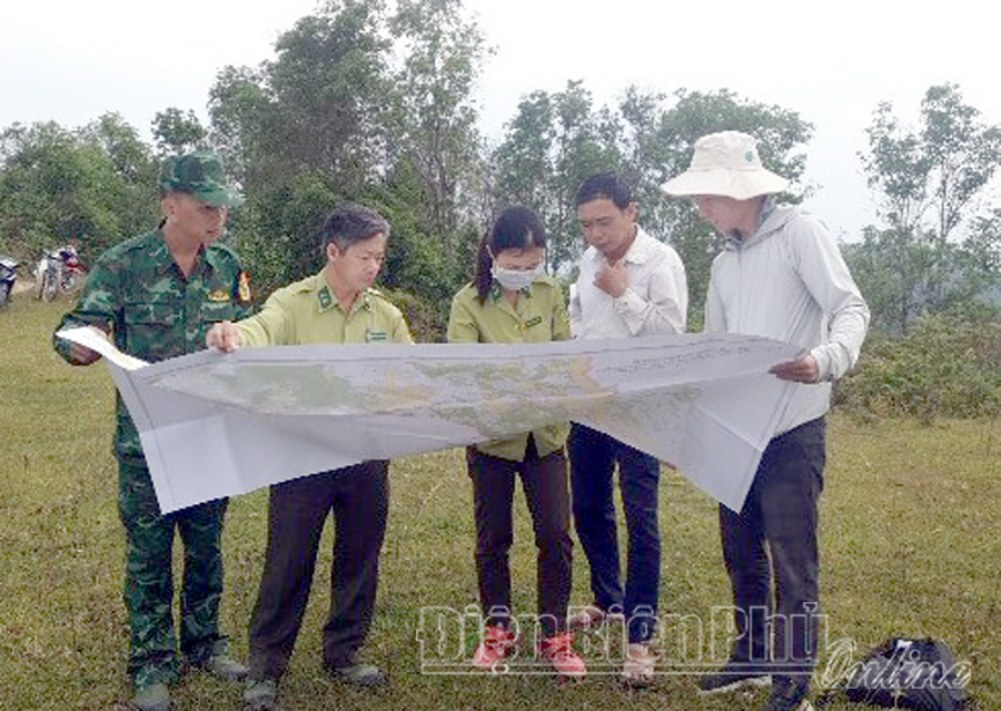 Huyện Điện Biên tăng cường quản lý bảo vệ rừng