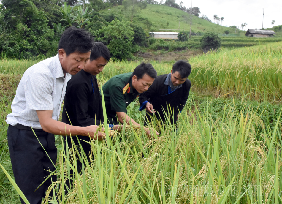 Phát huy vai trò tiên phong của đảng viên