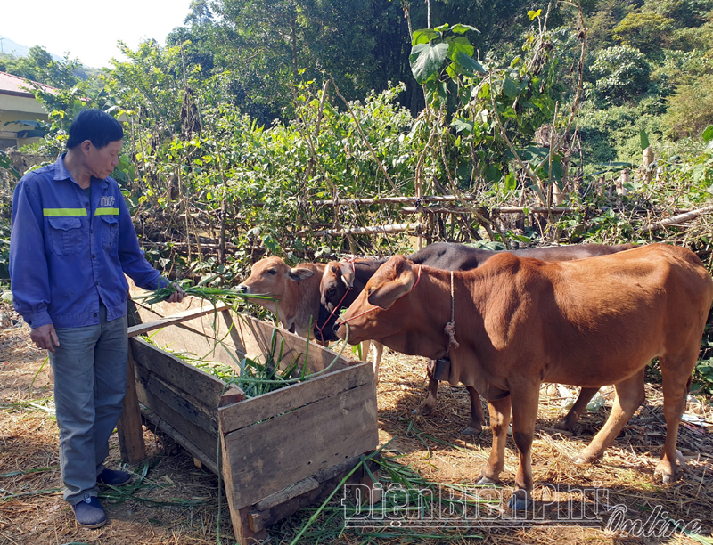 Những người không đầu hàng số phận