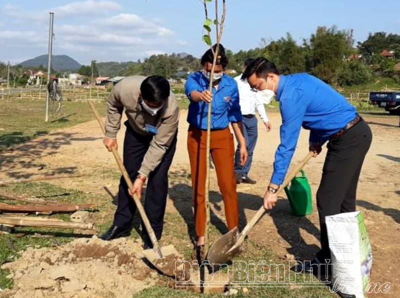 Tỉnh đoàn Điện Biên phát động thi đua và tổ chức Tết trồng cây 