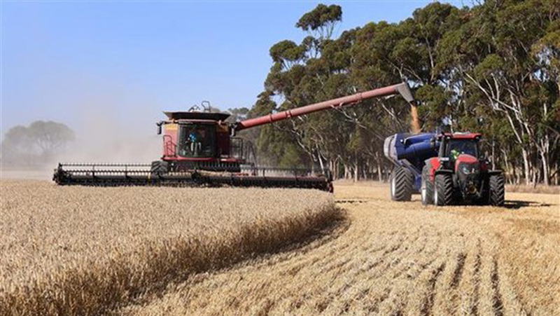 WFP lo ngại nguy cơ khủng hoảng lương thực