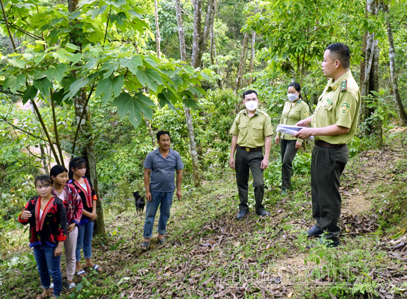Tủa Chùa tăng cường quản lý bảo vệ rừng