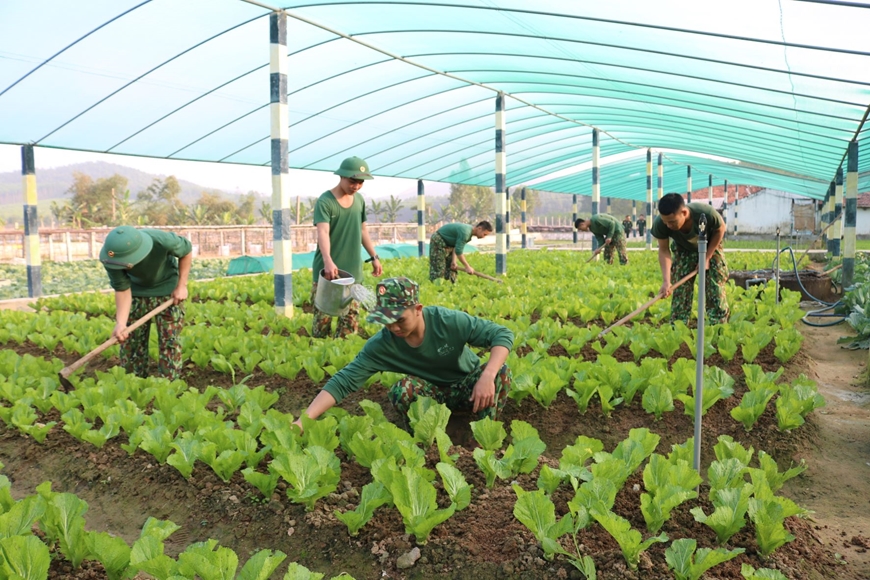 “5 không” ở Lữ đoàn Pháo binh 16