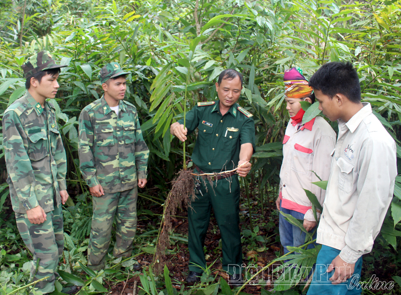 Bộ đội Biên phòng tham gia xây dựng nông thôn mới