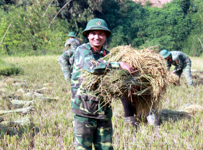 Nâng cao chất lượng công tác đảng, chính trị