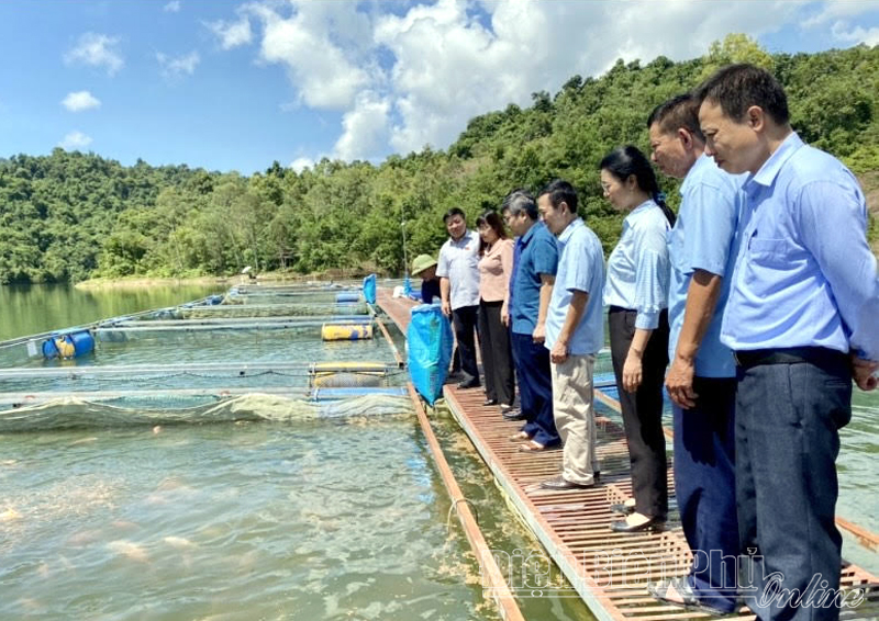 HĐND tỉnh giám sát việc phát triển kinh tế tập thể ở huyện Điện Biên  