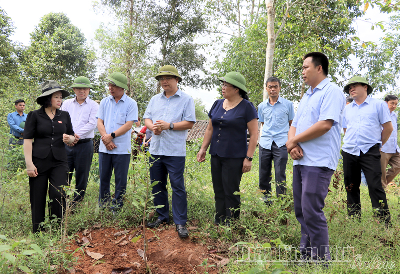 Đoàn đại biểu Quốc hội khảo sát tình hình phát triển cây mắc ca tại huyện Mường Ảng