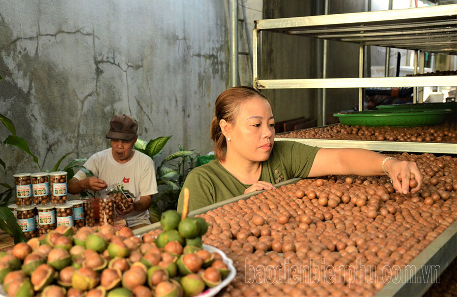 Ða dạng nguồn vốn hỗ trợ người dân, doanh nghiệp