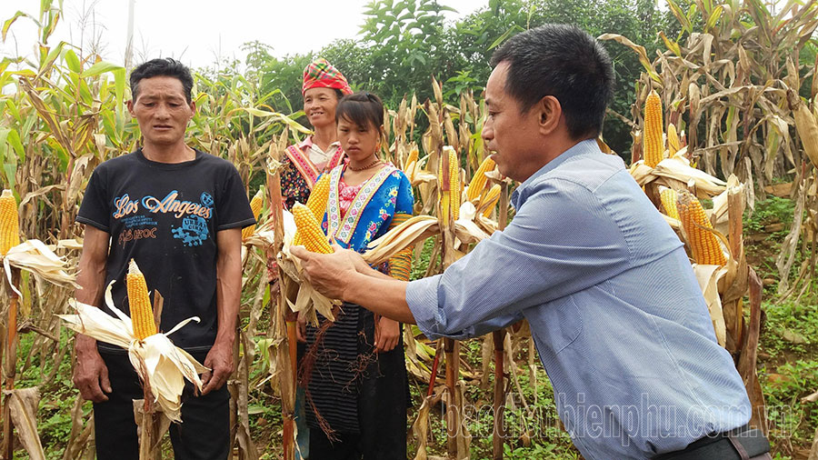 “Ba nhà” bắt tay tiêu thụ nông sản