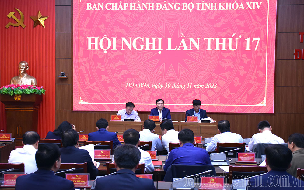 Hội nghị Ban Chấp hành Đảng bộ tỉnh lần thứ 17