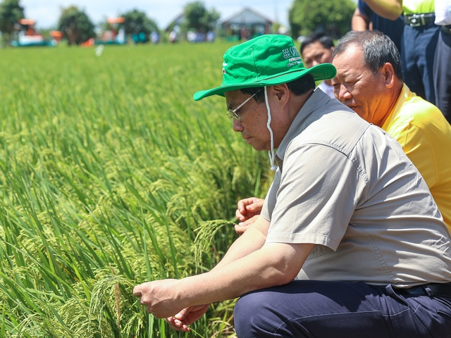 Thông điệp của Thủ tướng Phạm Minh Chính tại Festival quốc tế ngành hàng lúa gạo