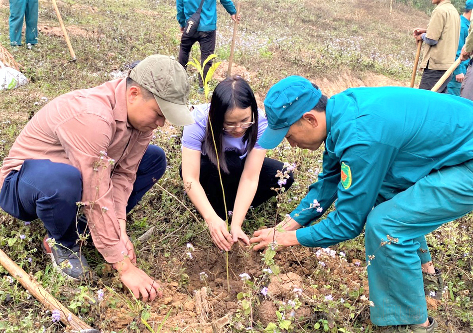 Trồng 40.000 cây xanh tại Khu Bảo tồn thiên nhiên Mường Nhé