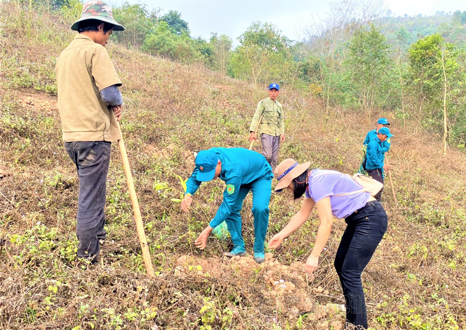 Nhân rộng màu xanh cho rừng đặc dụng