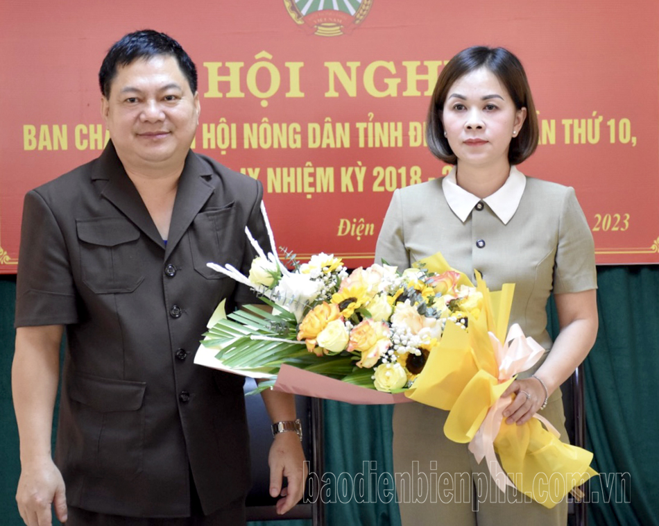 Bà Vàng Thị Bình được bầu giữ chức Chủ tịch Hội Nông dân tỉnh khoá IX, nhiệm kỳ 2018 - 2023