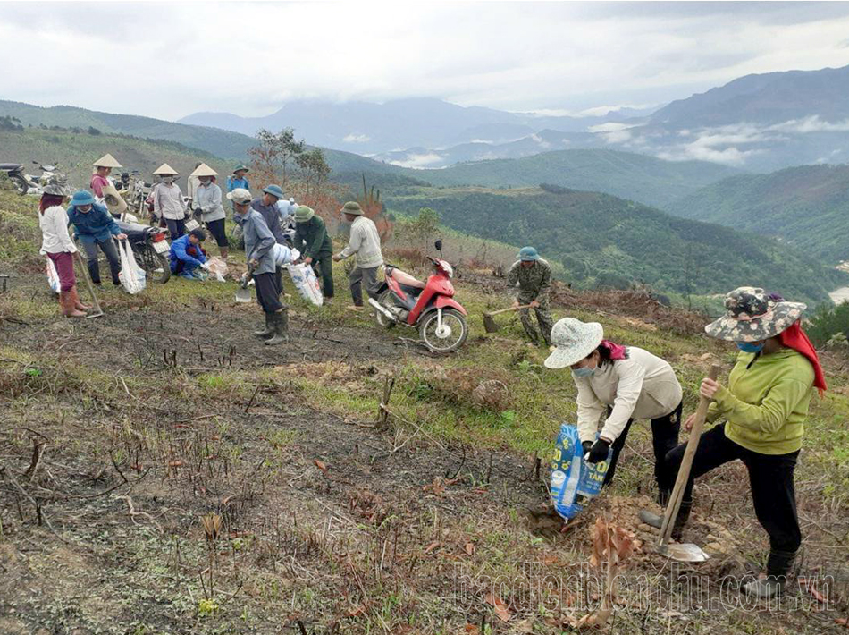 Phát triển kinh tế lâm nghiệp bền vững