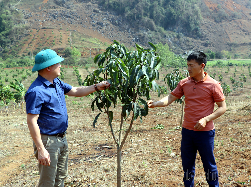 Khắc phục bất cập trong thực hiện chính sách hỗ trợ nông nghiệp