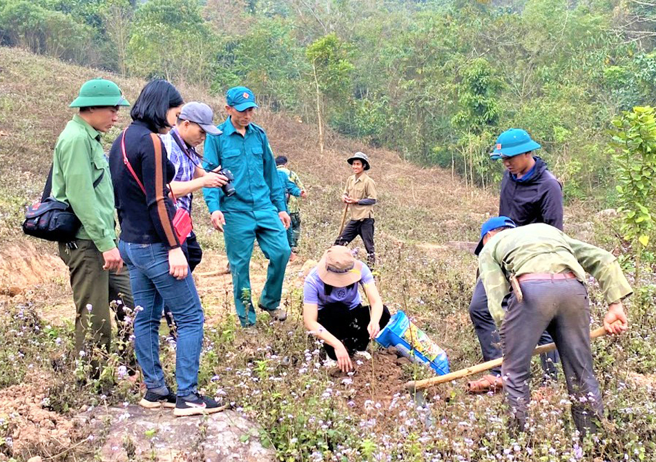 Trồng rừng làm giảm tác động của biến đổi khí hậu