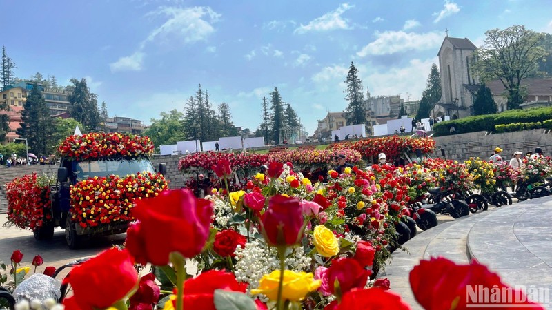 Sa Pa khai hội hoa hồng lớn nhất vùng Tây Bắc