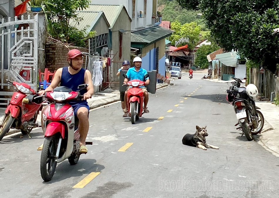 Tăng cường phòng chống bệnh dại