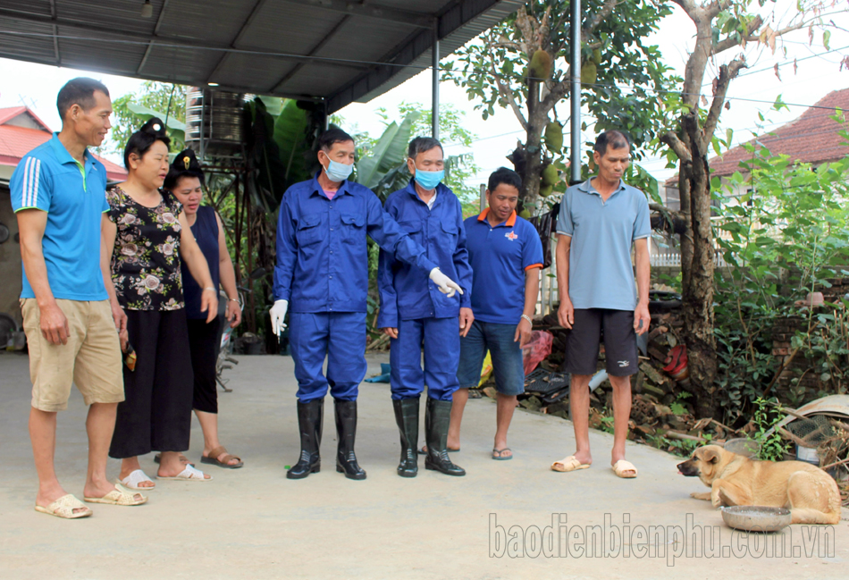 Tăng cường phòng chống bệnh dại (bài 2)