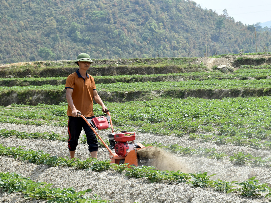 Mường Chà nỗ lực phát triển kinh tế