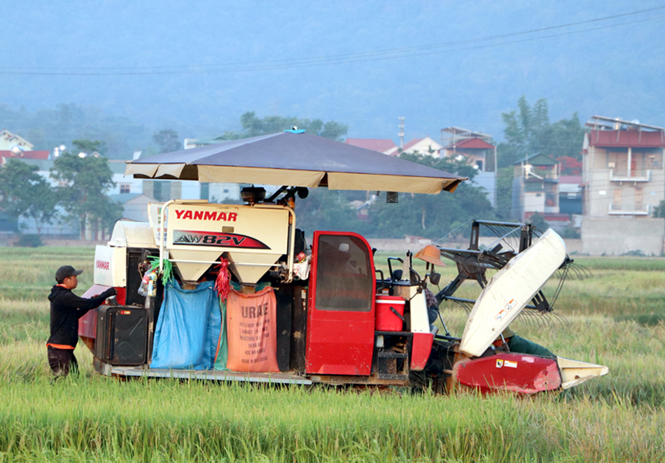 Huyện Điện Biên thắng lợi vụ lúa đông xuân