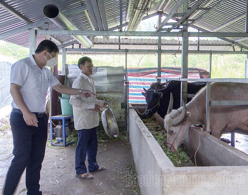 Phìn Hồ phòng tránh dịch bệnh cho đàn vật nuôi