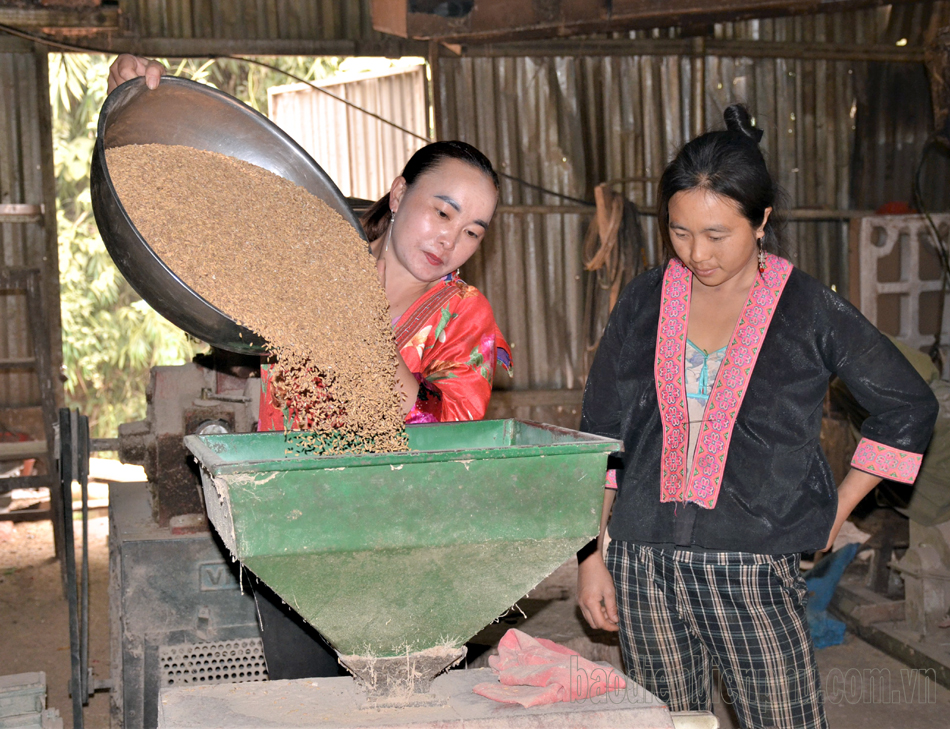 Những “bông hồng đỏ” vùng dân tộc thiểu số