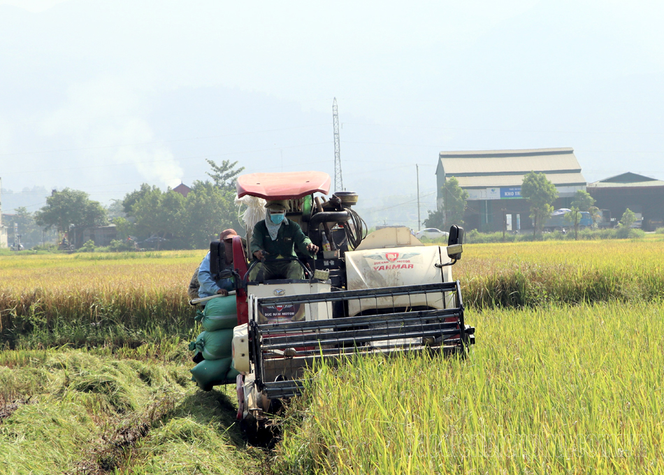 Thêm một vụ lúa đông xuân thắng lợi