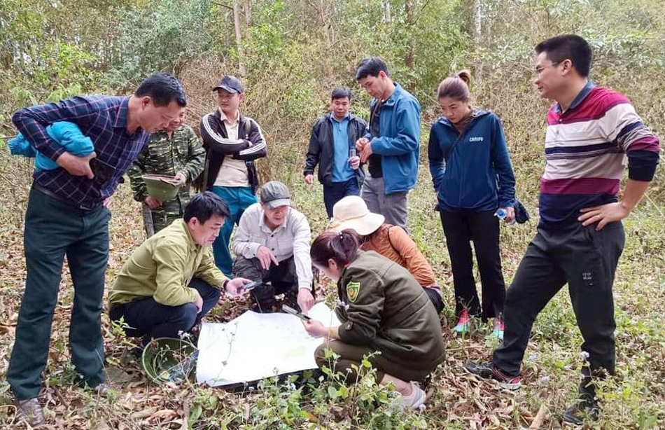 Tiến độ giao đất, giao rừng vẫn chậm