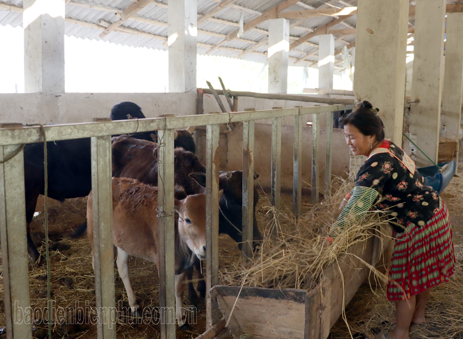 Khó thực hiện dự án hỗ trợ phát triển sản xuất