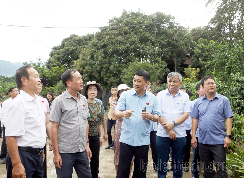 Đoàn giám sát số III của Quốc hội khảo sát thực tế tại huyện Mường Ảng