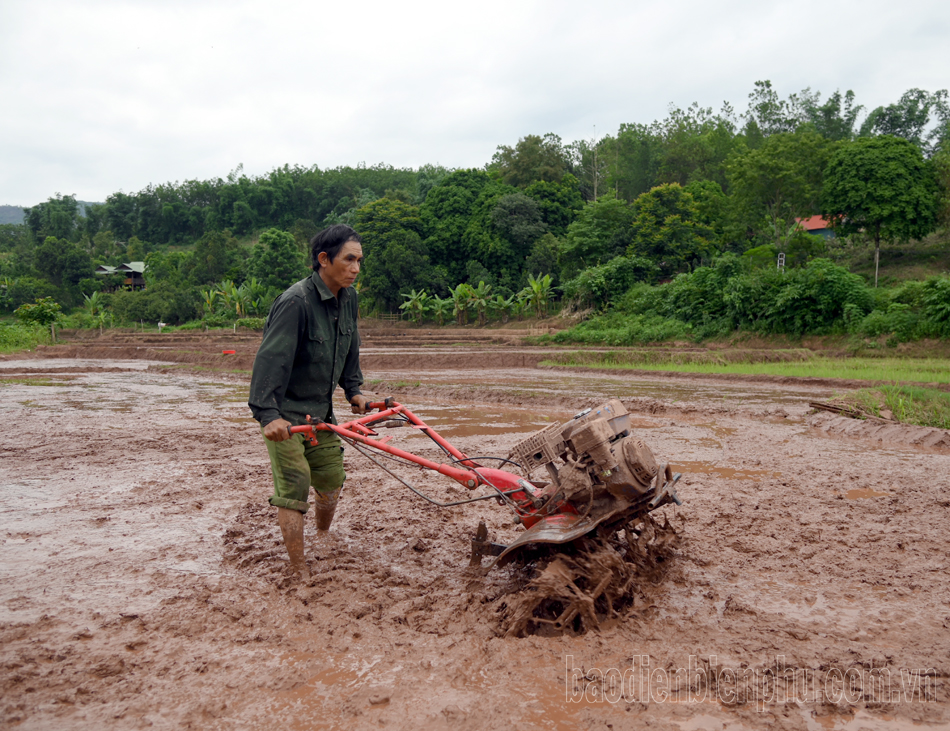 Vực lên sức đất