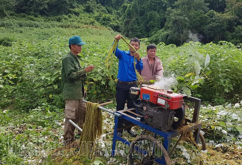 Phát huy hiệu quả mô hình kinh tế của đoàn viên, thanh niên