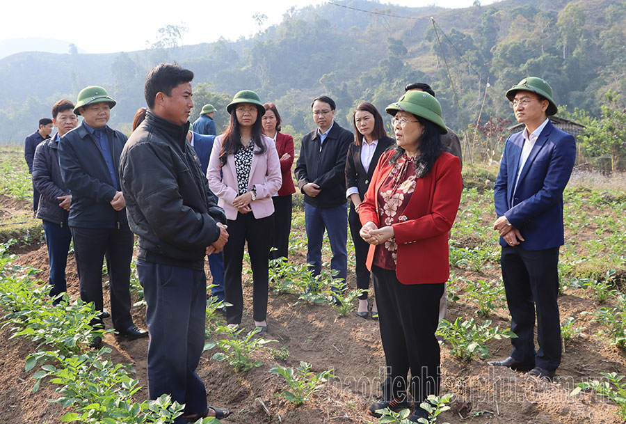 Phát hiện nhiều hạn chế qua thanh tra, giám sát