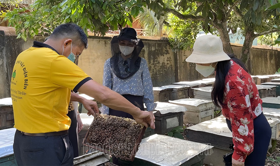 Hỗ trợ phát triển sản phẩm OCOP bền vững