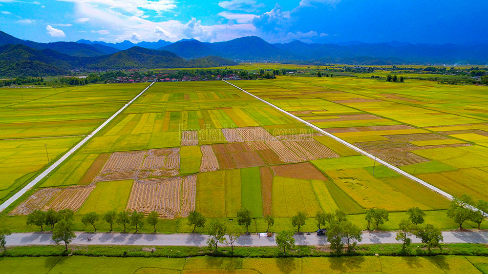 Để nông sản Điện Biên vươn xa