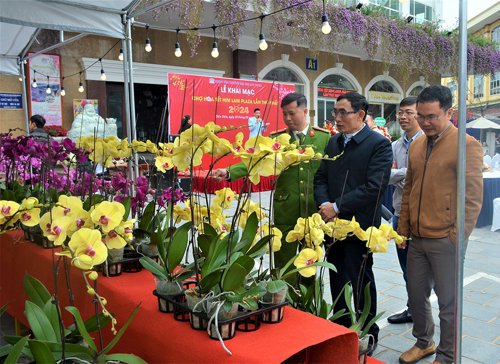 60 gian hàng tham gia Chợ hoa tết Him Lam Plaza lần thứ nhất