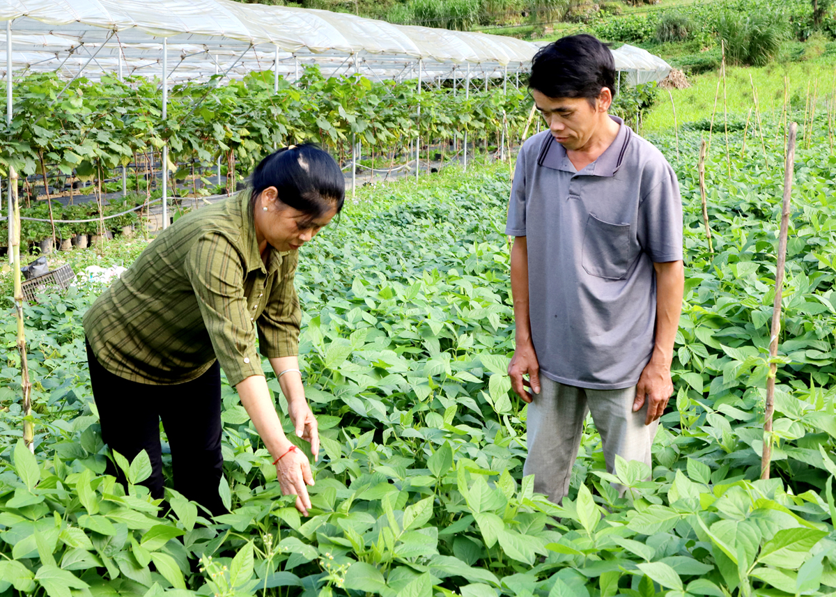 Nguồn lực giúp Đồng Văn thoát nghèo bền vững