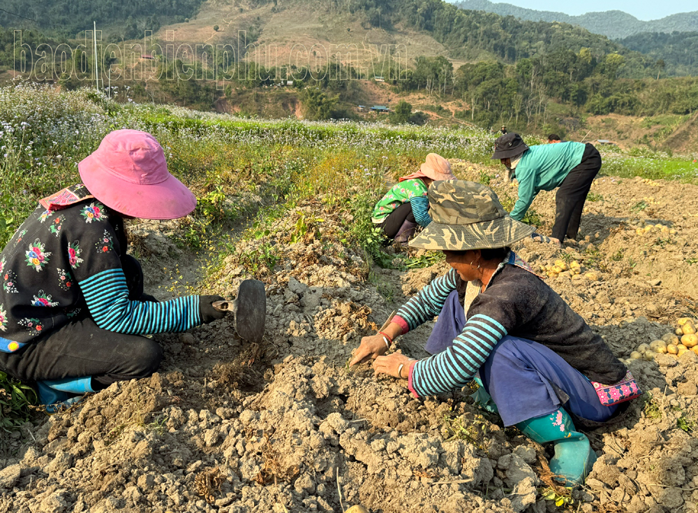 Không để lãng phí nguồn lực các Chương trình mục tiêu Quốc gia (bài 2)