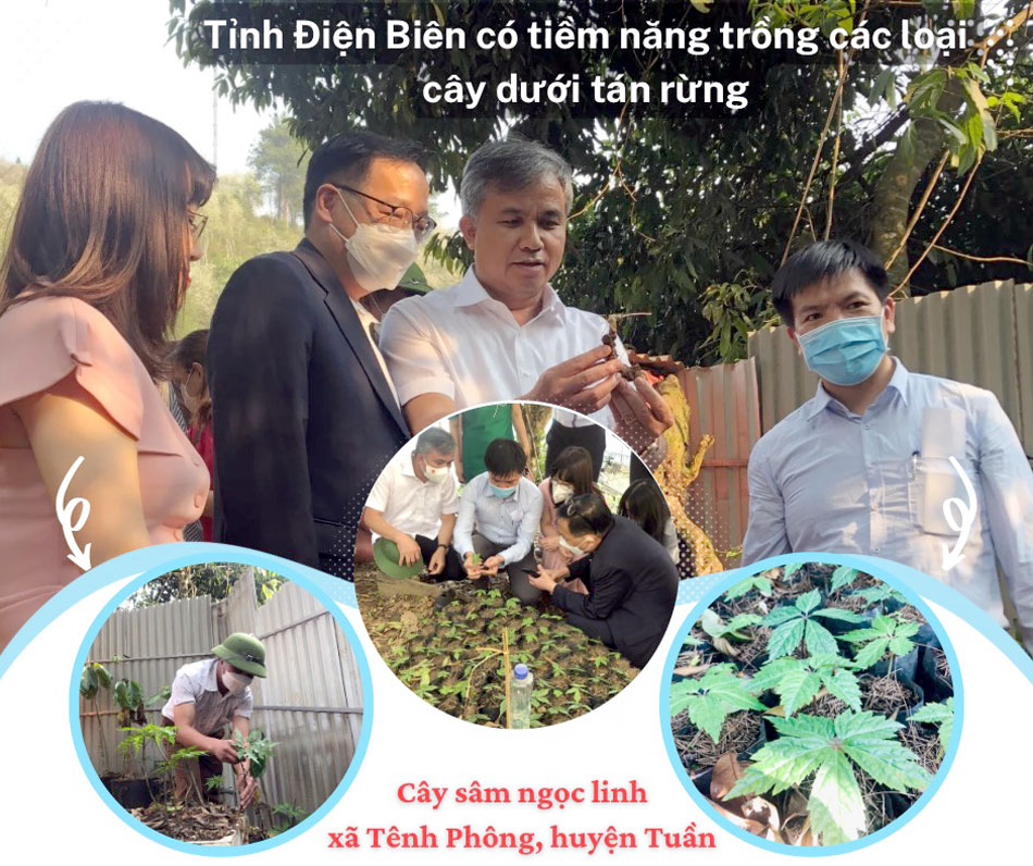 Đưa thương mại du lịch Điện Biên “cất cánh”