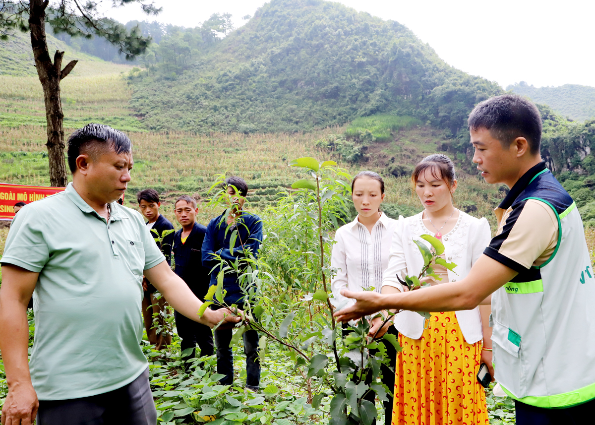 Mèo Vạc đột phá trong giải quyết việc làm cho lao động nông thôn