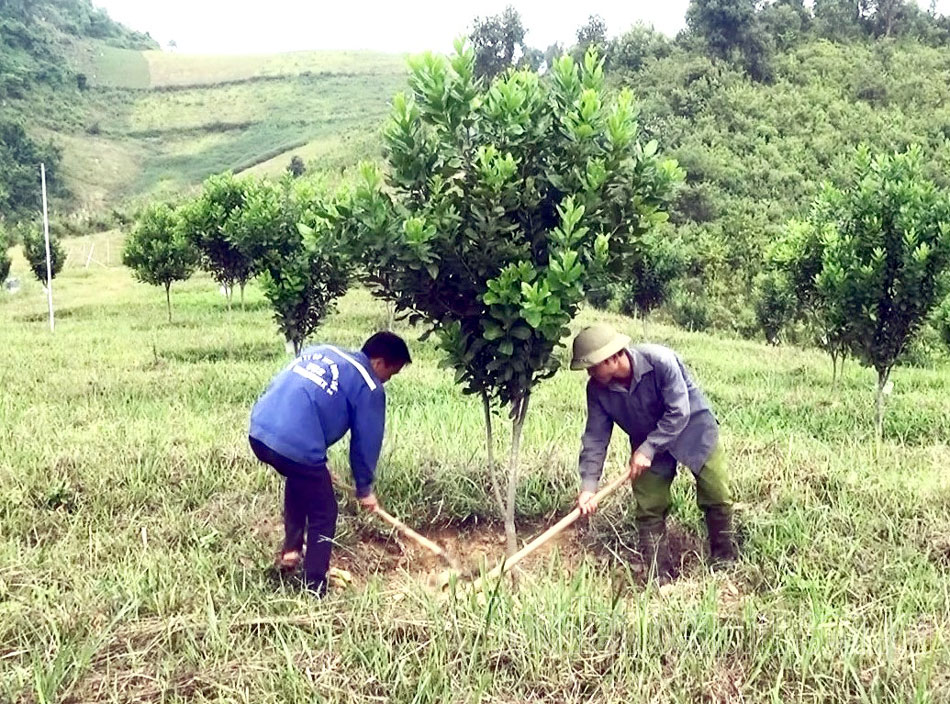 Khó vạn lần dân liệu cũng xong (bài 2)