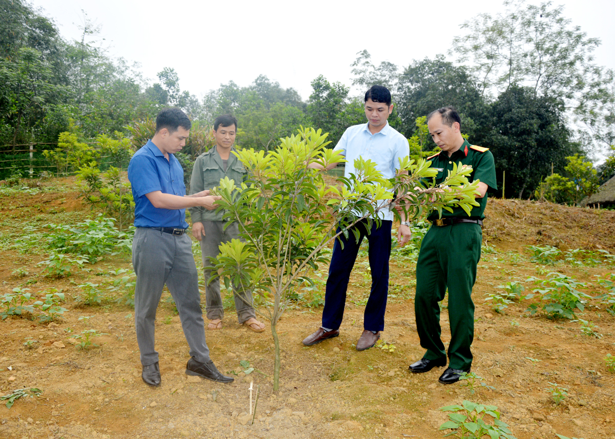 Một số giải pháp nâng cao chất lượng công tác dân vận