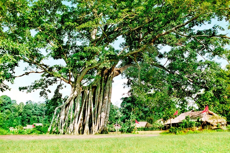 Phát huy giá trị di tích Quốc gia đặc biệt Tân Trào gắn với phát triển Du lịch