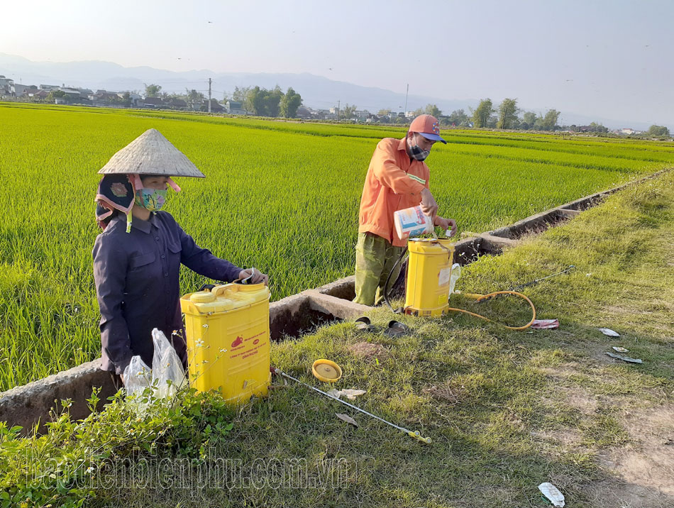 Nguy hại từ việc vứt vỏ bao thuốc bảo vệ thực vật bừa bãi