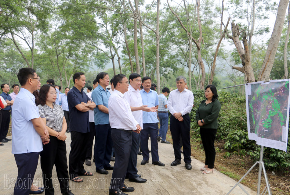 Ban Thường vụ Tỉnh ủy làm việc tại huyện Mường Ảng