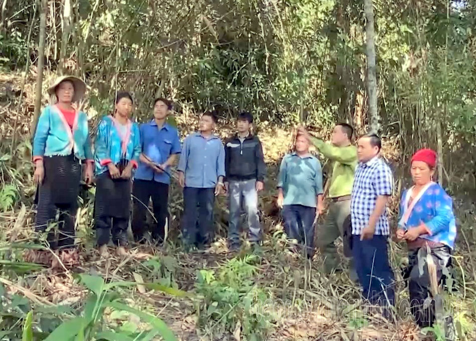 Người dân Tênh Phông giữ rừng