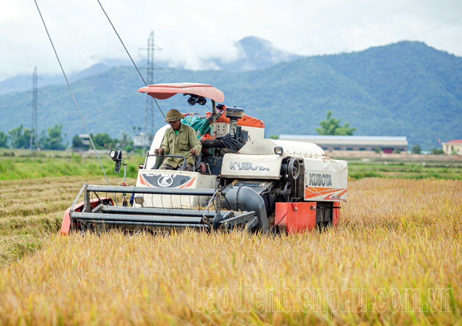 Nâng giá trị nông sản từ chế biến